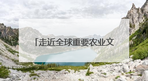 走近全球重要农业文化遗产皋兰什川古梨园系统 守护生态瑰宝 激活发展动能