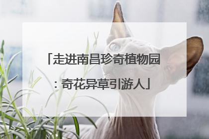 走进南昌珍奇植物园：奇花异草引游人