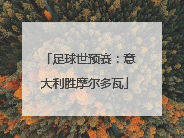 足球世预赛：意大利胜摩尔多瓦