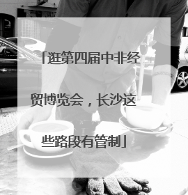 逛第四届中非经贸博览会，长沙这些路段有管制