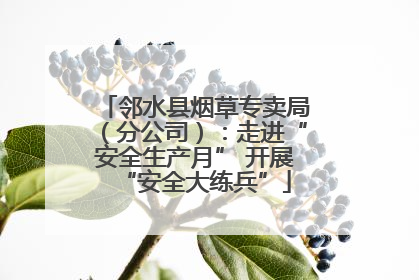 邻水县烟草专卖局（分公司）：走进“安全生产月” 开展“安全大练兵”
