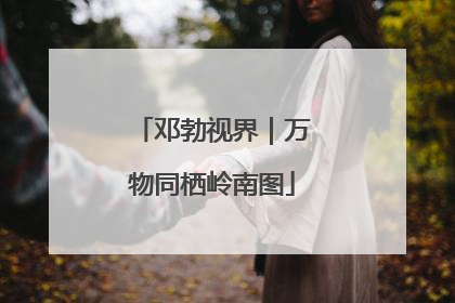 邓勃视界｜万物同栖岭南图