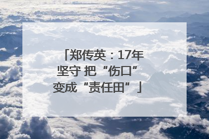 郑传英：17年坚守 把“伤口”变成“责任田”