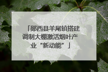 郧西县羊尾镇搭建调制大棚激活烟叶产业“新动能”