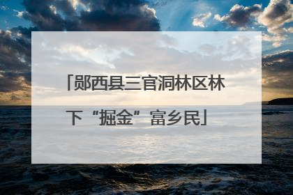 郧西县三官洞林区林下“掘金”富乡民