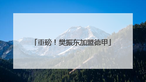 重磅！樊振东加盟德甲