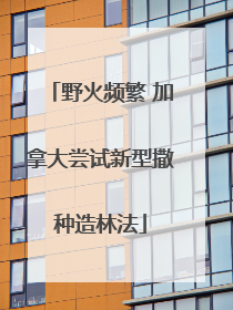 野火频繁 加拿大尝试新型撒种造林法