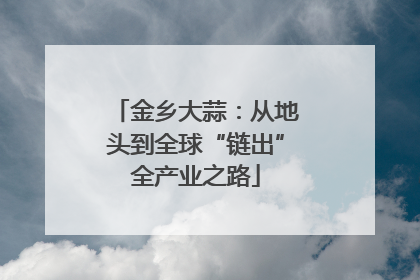 金乡大蒜：从地头到全球“链出”全产业之路