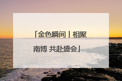 金色瞬间丨相聚南博 共赴盛会