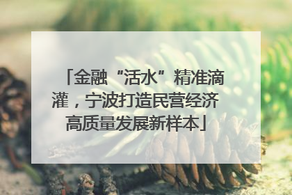 金融“活水”精准滴灌，宁波打造民营经济高质量发展新样本