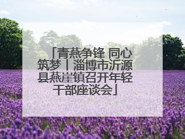 青燕争锋 同心筑梦丨淄博市沂源县燕崖镇召开年轻干部座谈会