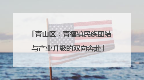 青山区：青福镇民族团结与产业升级的双向奔赴