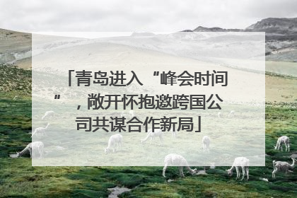 青岛进入“峰会时间”，敞开怀抱邀跨国公司共谋合作新局