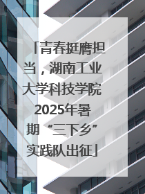 青春挺膺担当，湖南工业大学科技学院2025年暑期“三下乡”实践队出征