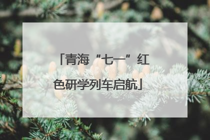 青海“七一”红色研学列车启航
