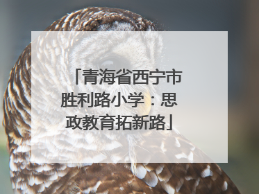 青海省西宁市胜利路小学：思政教育拓新路
