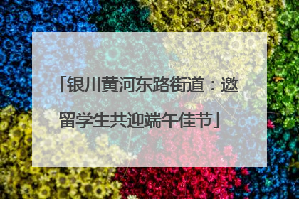 银川黄河东路街道：邀留学生共迎端午佳节