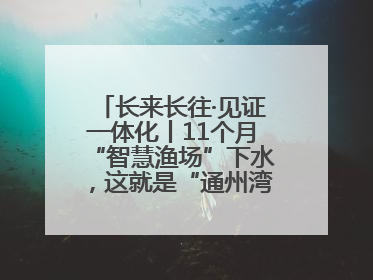 长来长往·见证一体化丨11个月“智慧渔场”下水，这就是“通州湾速度”！