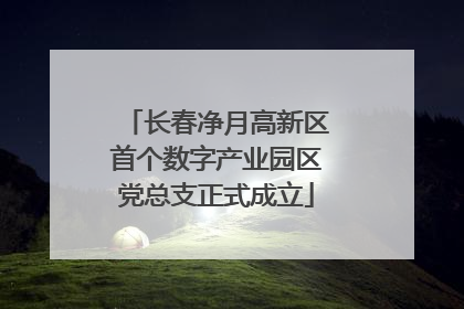 长春净月高新区首个数字产业园区党总支正式成立