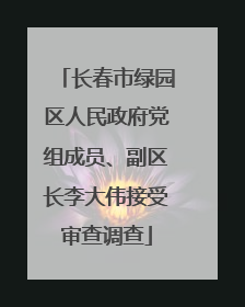 长春市绿园区人民政府党组成员、副区长李大伟接受审查调查