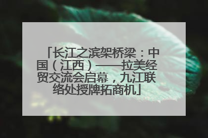 长江之滨架桥梁：中国（江西）——拉美经贸交流会启幕，九江联络处授牌拓商机