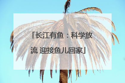 长江有鱼：科学放流 迎接鱼儿回家