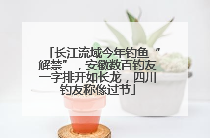 长江流域今年钓鱼“解禁”，安徽数百钓友一字排开如长龙，四川钓友称像过节