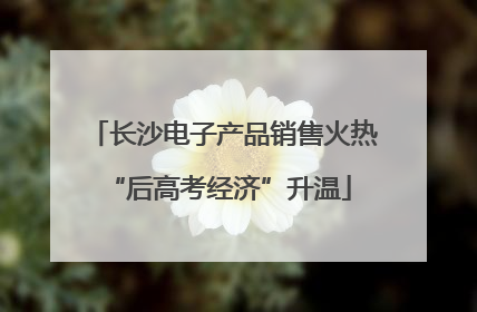 长沙电子产品销售火热 “后高考经济”升温