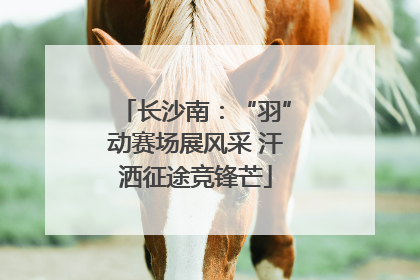 长沙南：“羽”动赛场展风采 汗洒征途竞锋芒