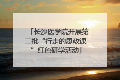 长沙医学院开展第二批“行走的思政课”红色研学活动