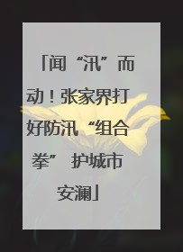 闻“汛”而动！张家界打好防汛“组合拳” 护城市安澜