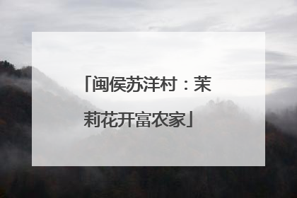闽侯苏洋村：茉莉花开富农家