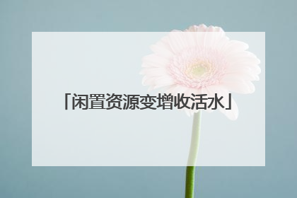 闲置资源变增收活水