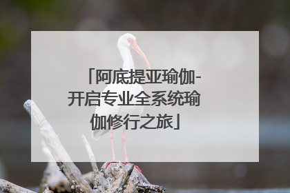 阿底提亚瑜伽-开启专业全系统瑜伽修行之旅