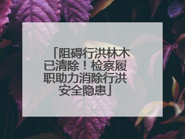 阻碍行洪林木已清除！检察履职助力消除行洪安全隐患