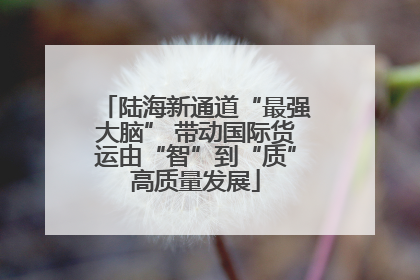 陆海新通道“最强大脑” 带动国际货运由“智”到“质”高质量发展