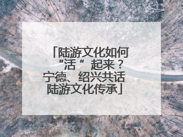陆游文化如何“活 ”起来？宁德、绍兴共话陆游文化传承