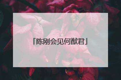 陈刚会见何猷君