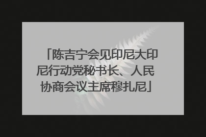 陈吉宁会见印尼大印尼行动党秘书长、人民协商会议主席穆扎尼