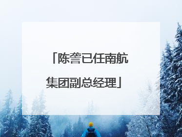 陈詟已任南航集团副总经理