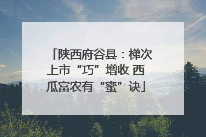 陕西府谷县：梯次上市“巧”增收 西瓜富农有“蜜”诀