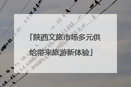 陕西文旅市场多元供给带来旅游新体验