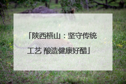 陕西横山：坚守传统工艺 酿造健康好醋