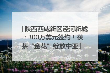 陕西西咸新区泾河新城：300万美元签约！茯茶“金花”绽放中亚