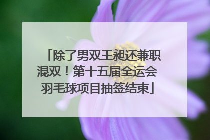 除了男双王昶还兼职混双！第十五届全运会羽毛球项目抽签结束