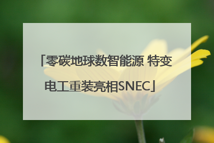 零碳地球数智能源 特变电工重装亮相SNEC
