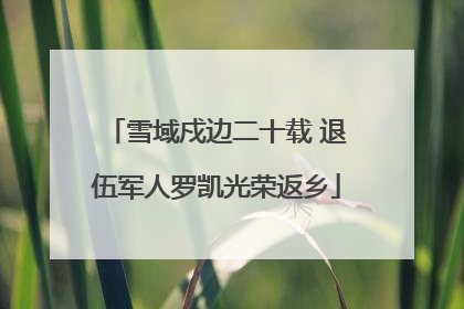 雪域戍边二十载 退伍军人罗凯光荣返乡