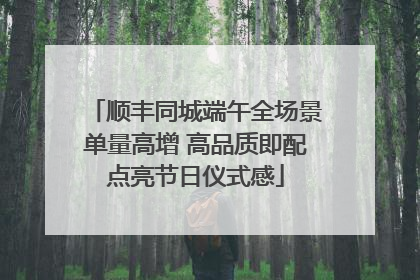 顺丰同城端午全场景单量高增 高品质即配点亮节日仪式感