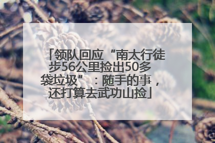 领队回应“南太行徒步56公里捡出50多袋垃圾”：随手的事，还打算去武功山捡