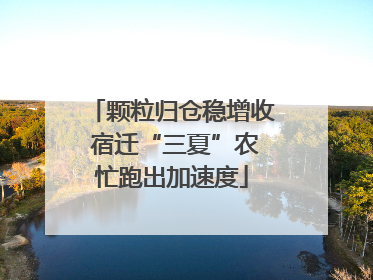 颗粒归仓稳增收 宿迁“三夏”农忙跑出加速度